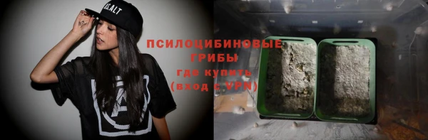 стафф Алзамай