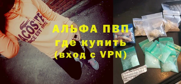 стафф Алзамай